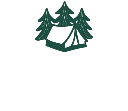Plaucaki