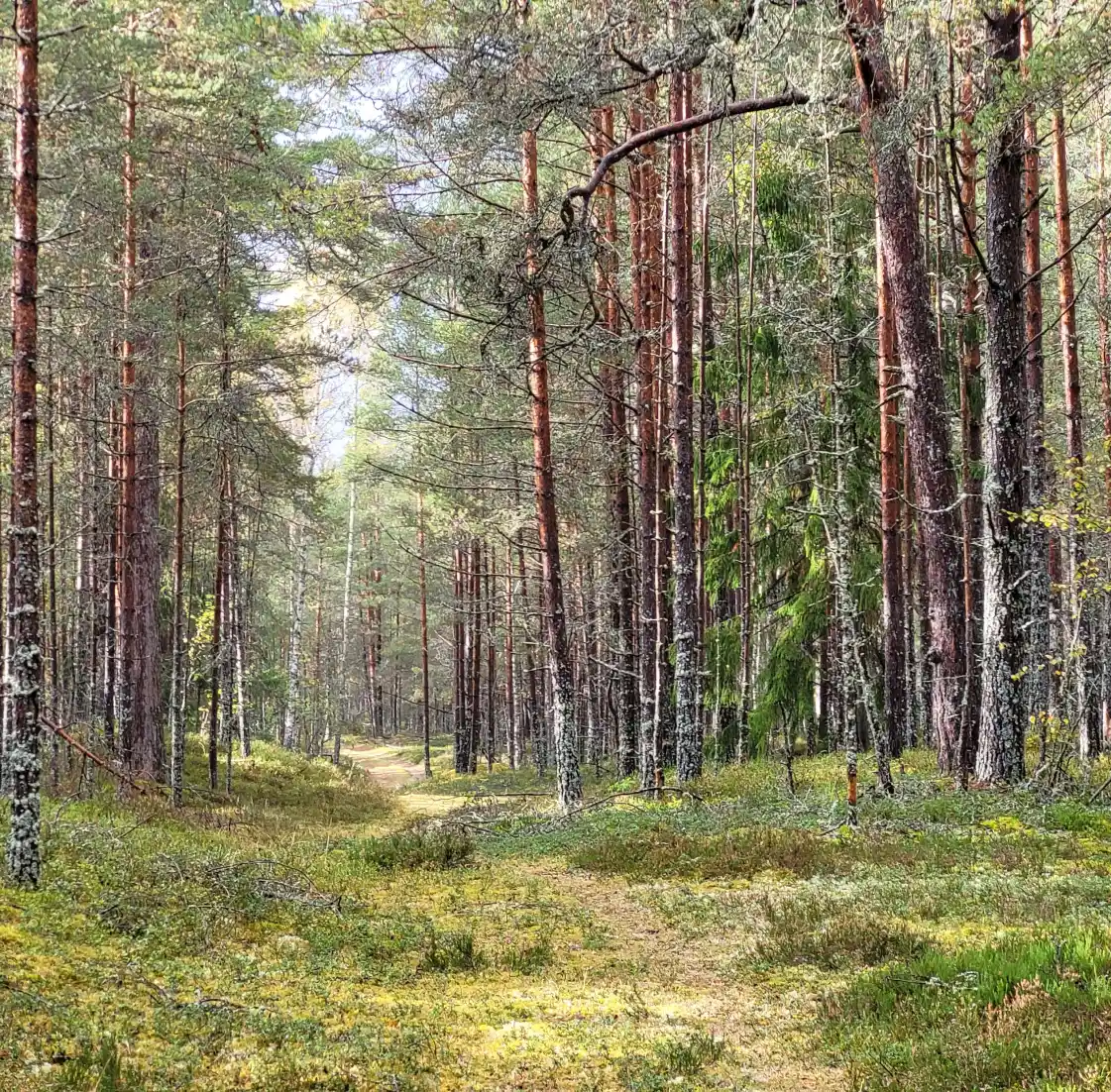 Gallery image 11 (lv)