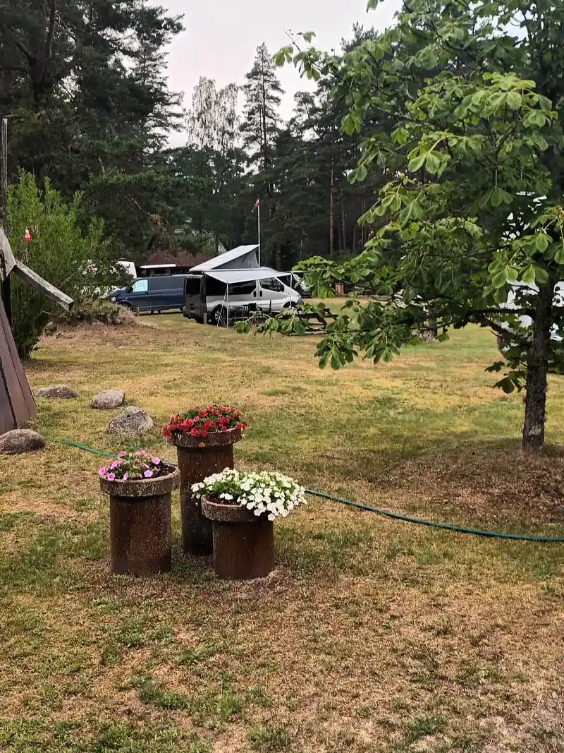 Gallery image 14 (lv)