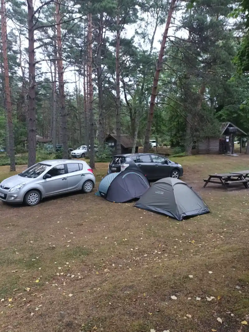 Gallery image 16 (lv)