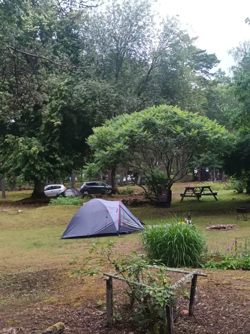 Gallery image 18 (lv)