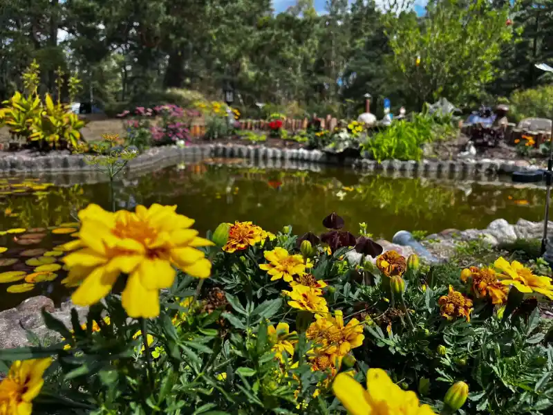 Gallery image 23 (lv)