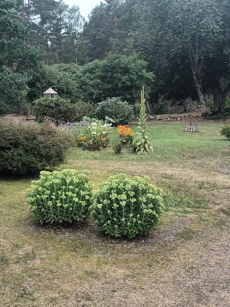 Gallery image 27 (lv)