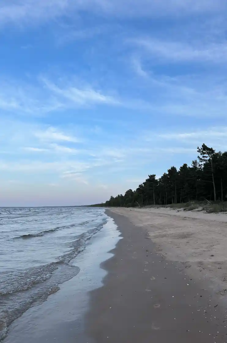 Gallery image 3 (lv)