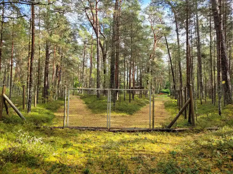 Gallery image 4 (lv)