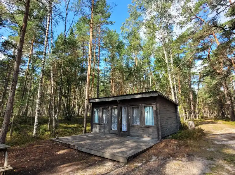 Gallery image 41 (lv)