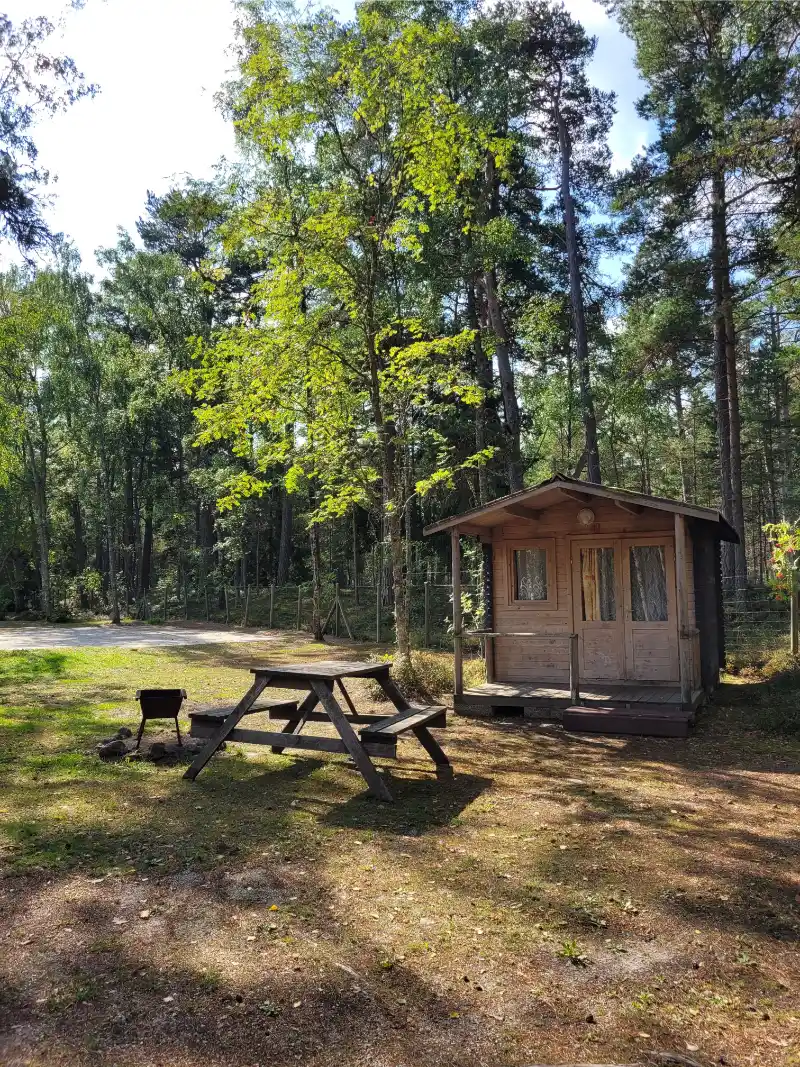 Gallery image 43 (lv)