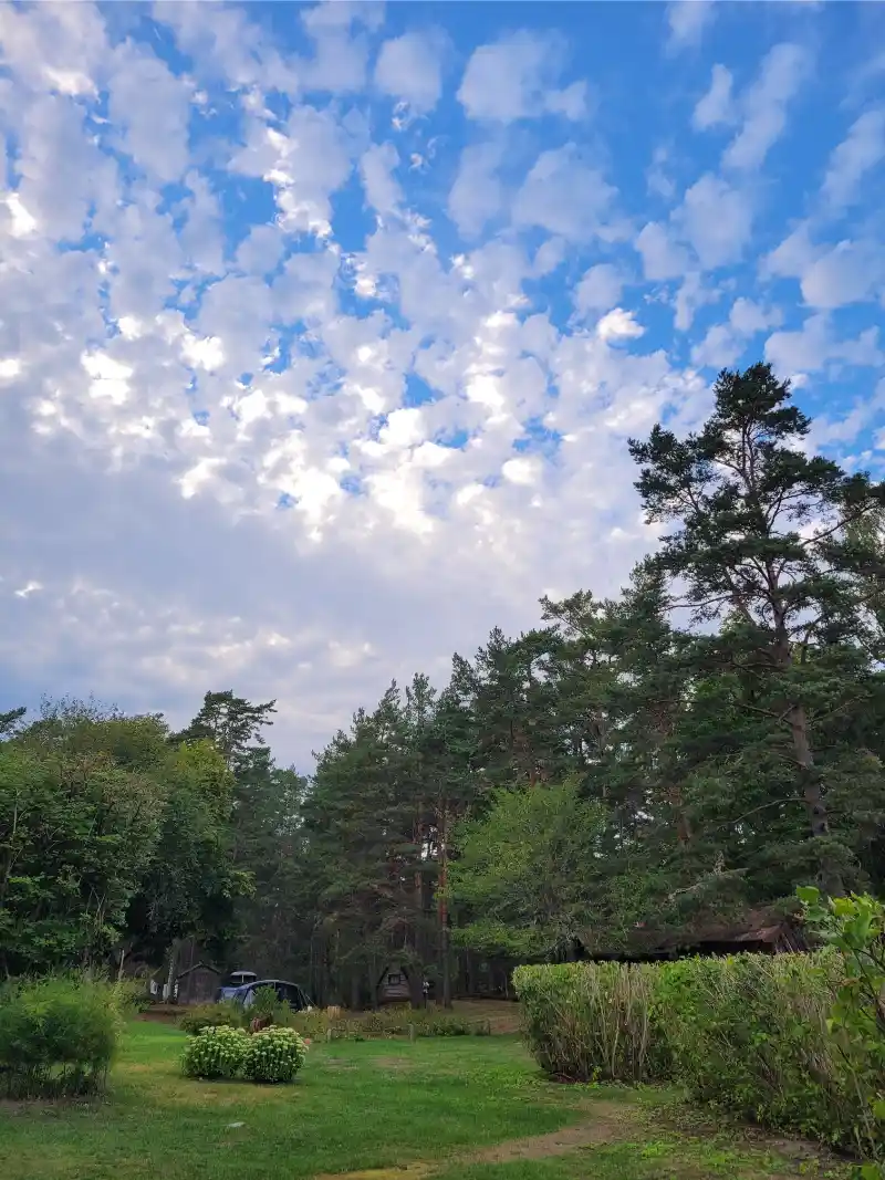 Gallery image 44 (lv)