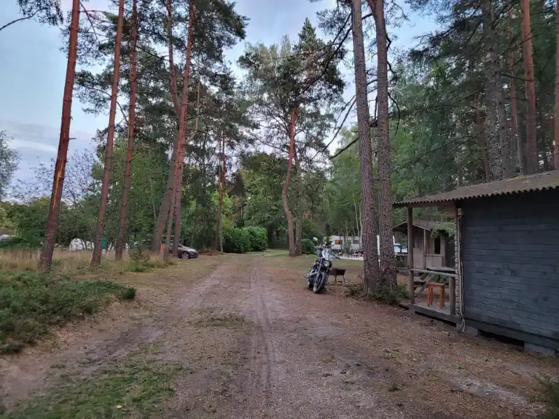 Gallery image 46 (lv)