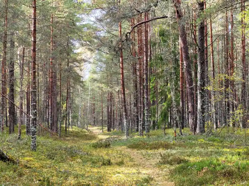 Gallery image 5 (lv)