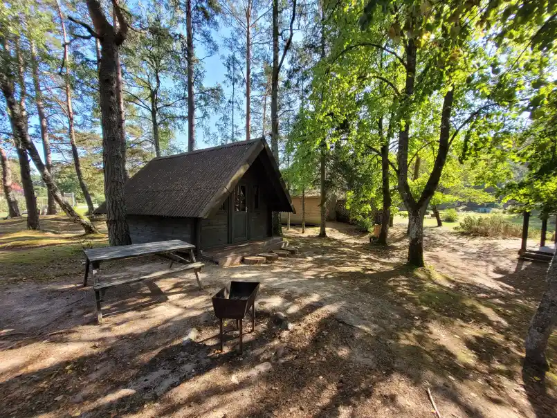 Gallery image 50 (lv)