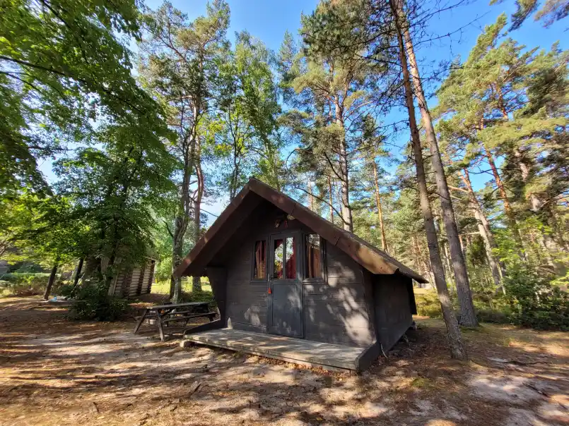 Gallery image 51 (lv)