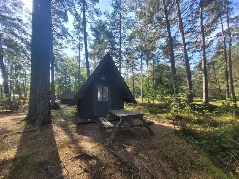 Gallery image 52 (lv)