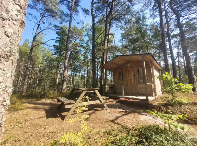 Gallery image 57 (lv)