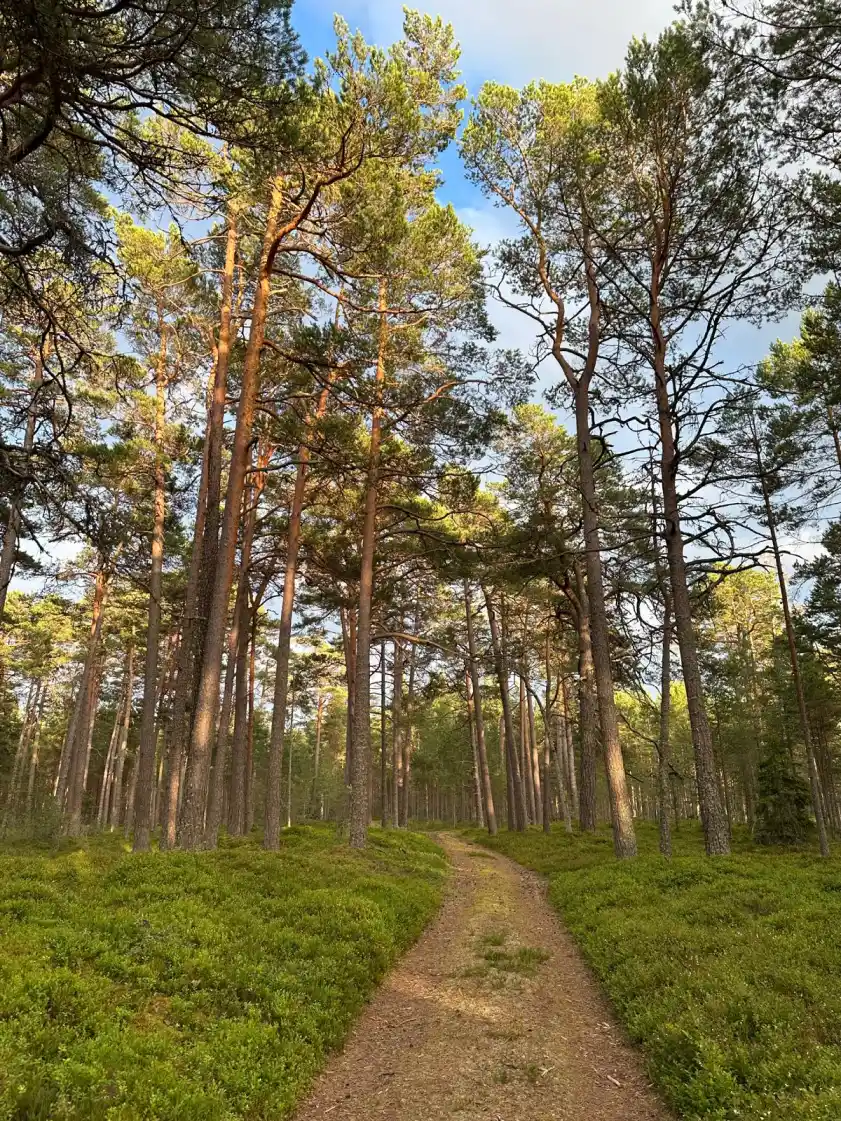 Gallery image 6 (lv)