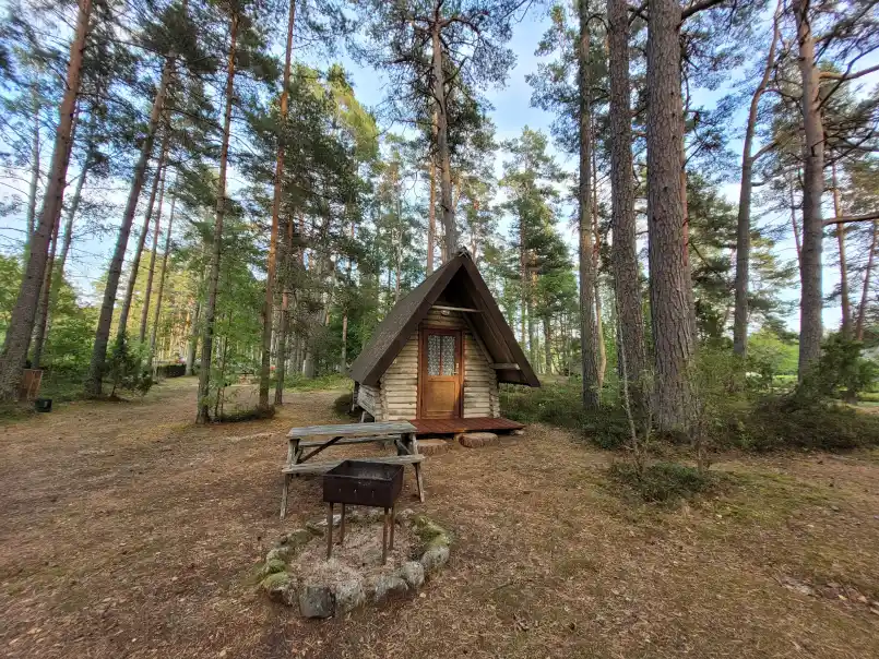 Gallery image 60 (lv)