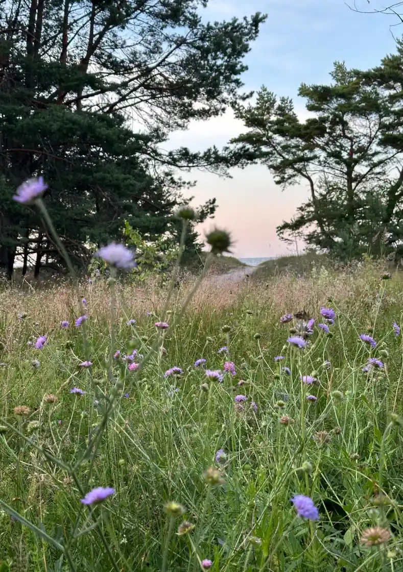 Gallery image 9 (lv)